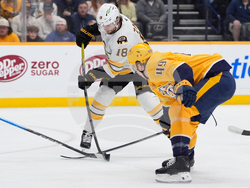 Bruins Predators Hockey