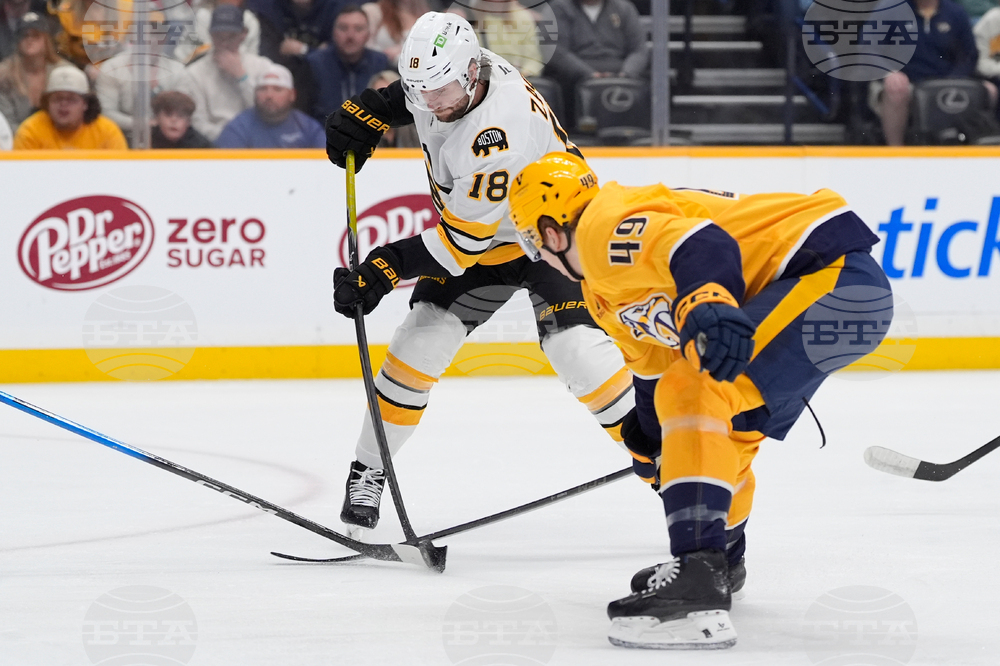 Bruins Predators Hockey