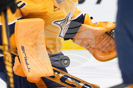 Bruins Predators Hockey