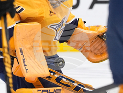 Bruins Predators Hockey