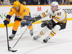 Bruins Predators Hockey