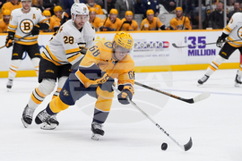 Bruins Predators Hockey