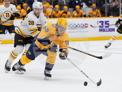 Bruins Predators Hockey