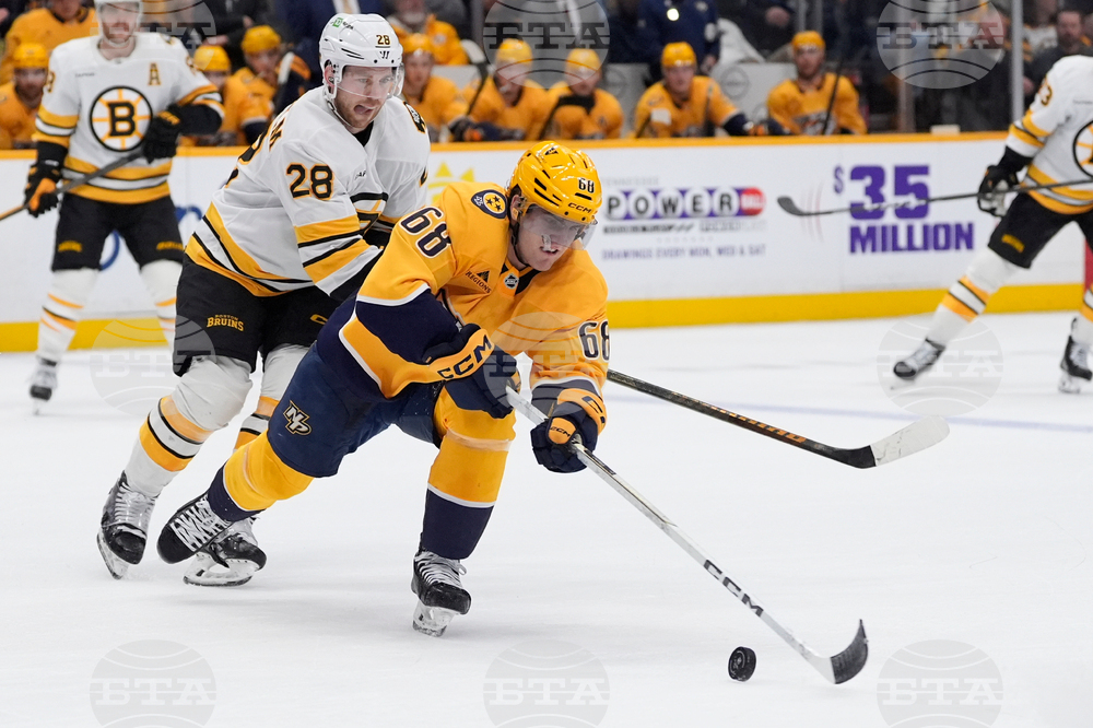 Bruins Predators Hockey