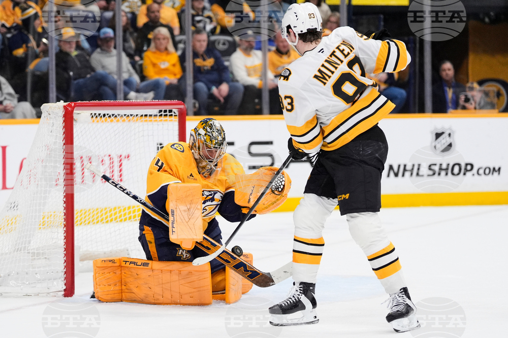 Bruins Predators Hockey