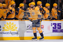 Bruins Predators Hockey