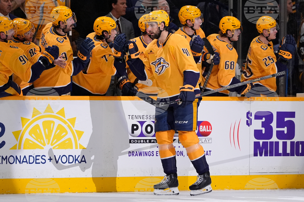 Bruins Predators Hockey