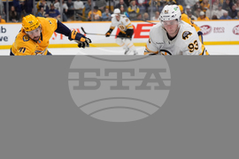 Bruins Predators Hockey