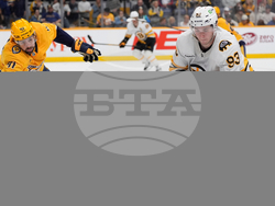 Bruins Predators Hockey