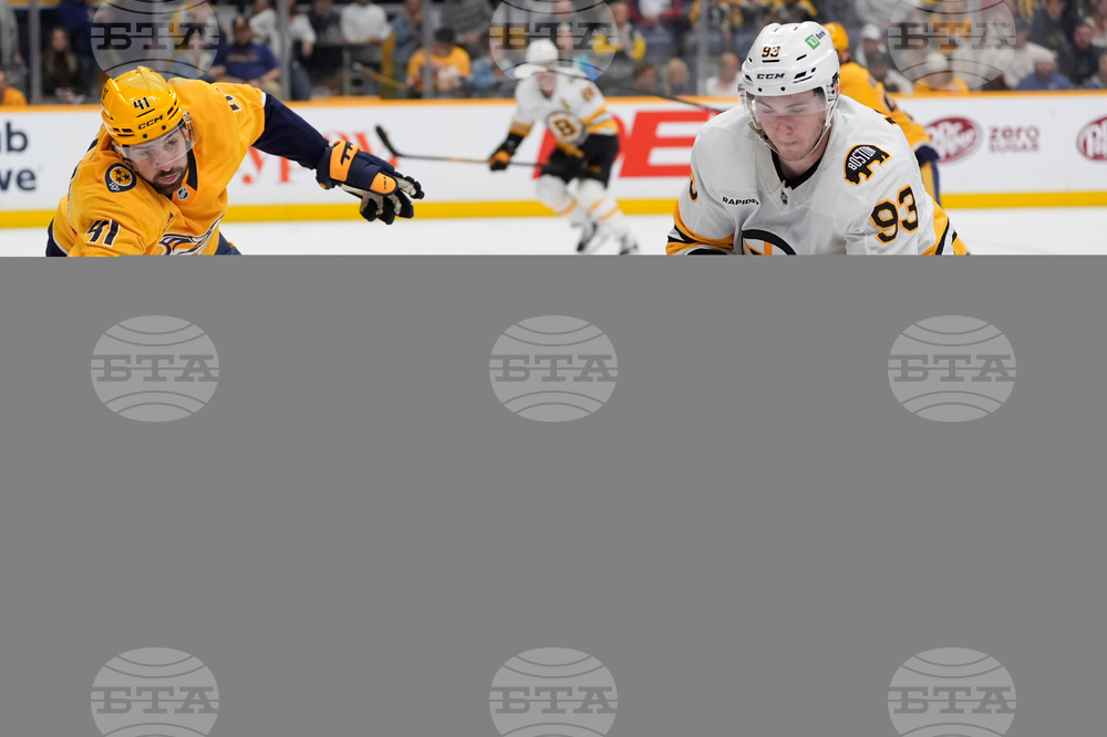 Bruins Predators Hockey