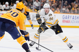 Bruins Predators Hockey