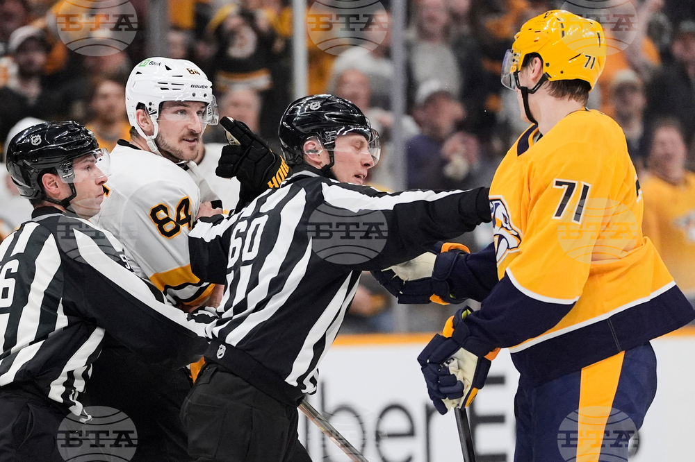 Bruins Predators Hockey