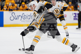 Bruins Predators Hockey