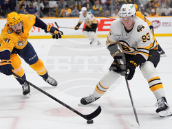 Bruins Predators Hockey