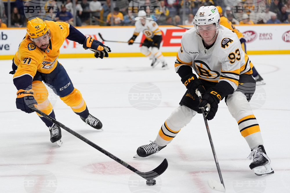 Bruins Predators Hockey