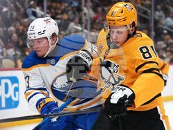 Sabres Penguins Hockey