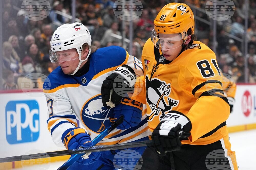 Sabres Penguins Hockey