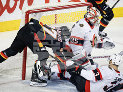 Senators Flames Hockey