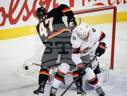 Senators Flames Hockey