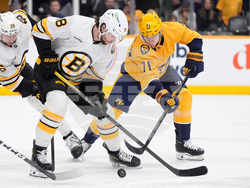 Bruins Predators Hockey