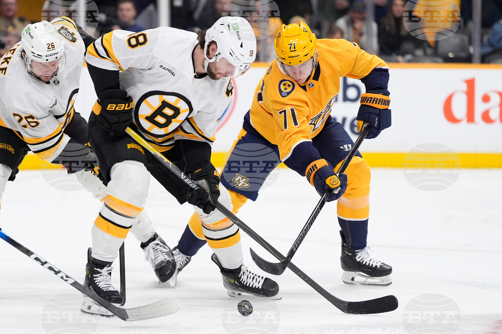 Bruins Predators Hockey