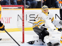 Bruins Predators Hockey