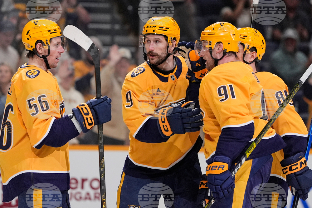 Bruins Predators Hockey