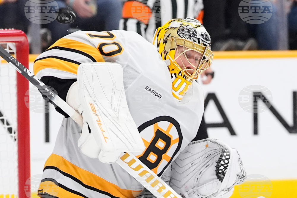 Bruins Predators Hockey