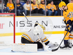 Bruins Predators Hockey