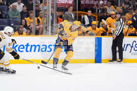 Bruins Predators Hockey