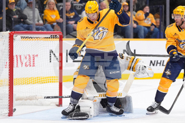 Bruins Predators Hockey