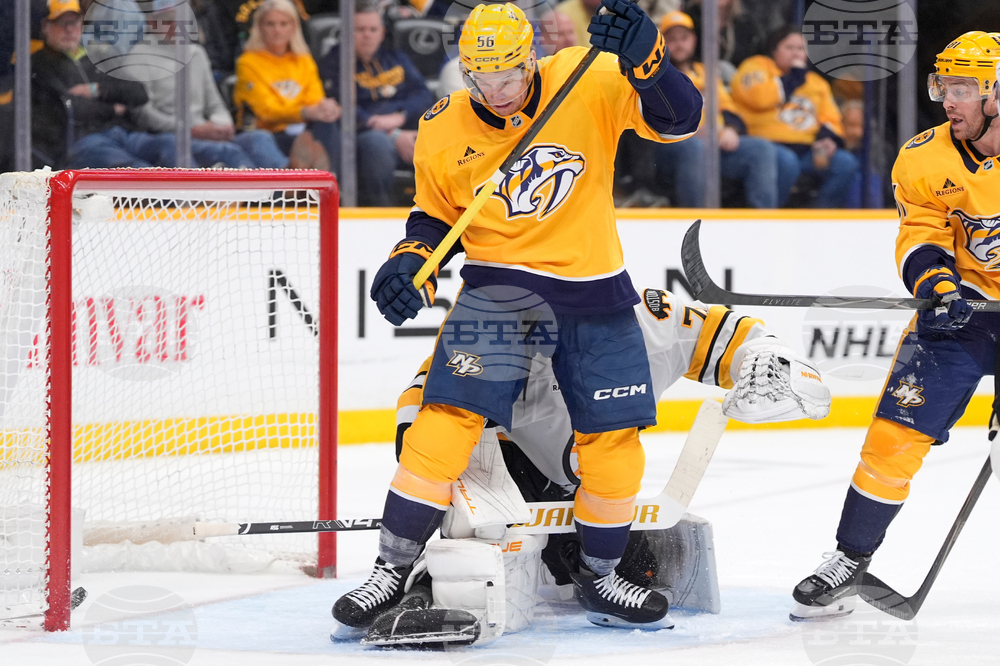 Bruins Predators Hockey