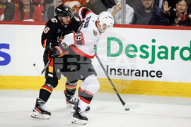 Senators Flames Hockey