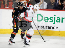 Senators Flames Hockey