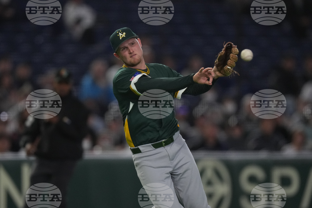WBC Australia Czech Republic Baseball