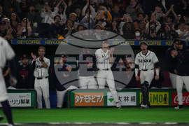 WBC Australia Czech Republic Baseball