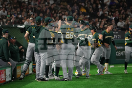 WBC Australia Czech Republic Baseball