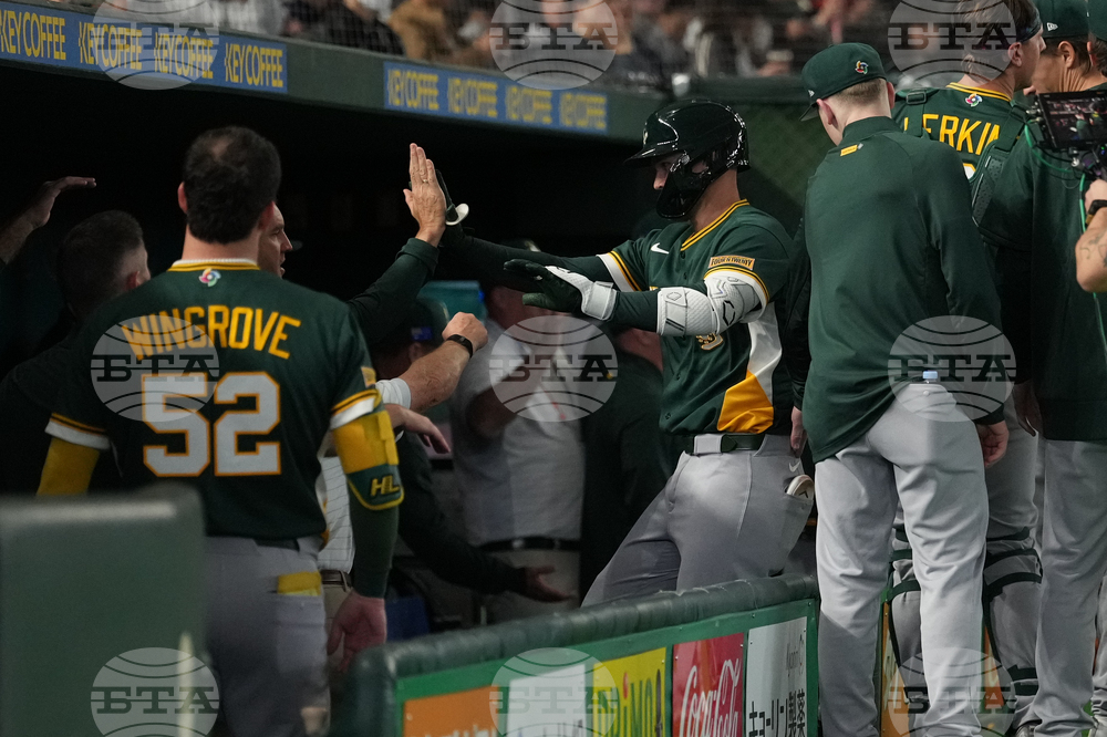 WBC Australia Czech Republic Baseball