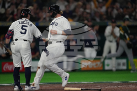 WBC Australia Czech Republic Baseball