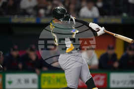 WBC Australia Czech Republic Baseball
