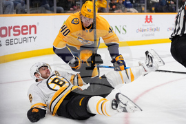 Bruins Predators Hockey