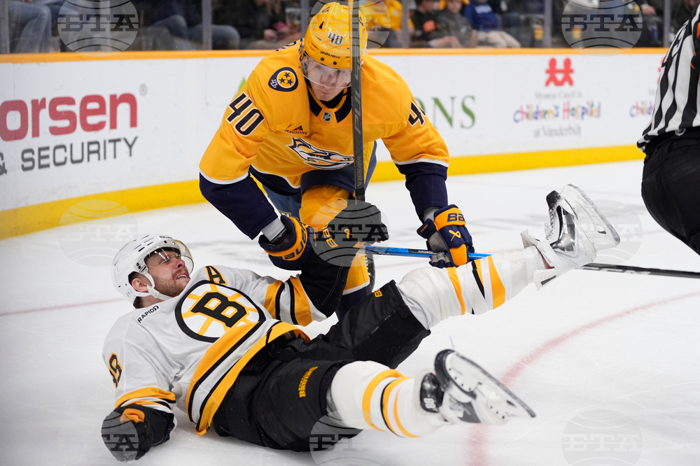 Bruins Predators Hockey