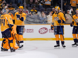 Bruins Predators Hockey