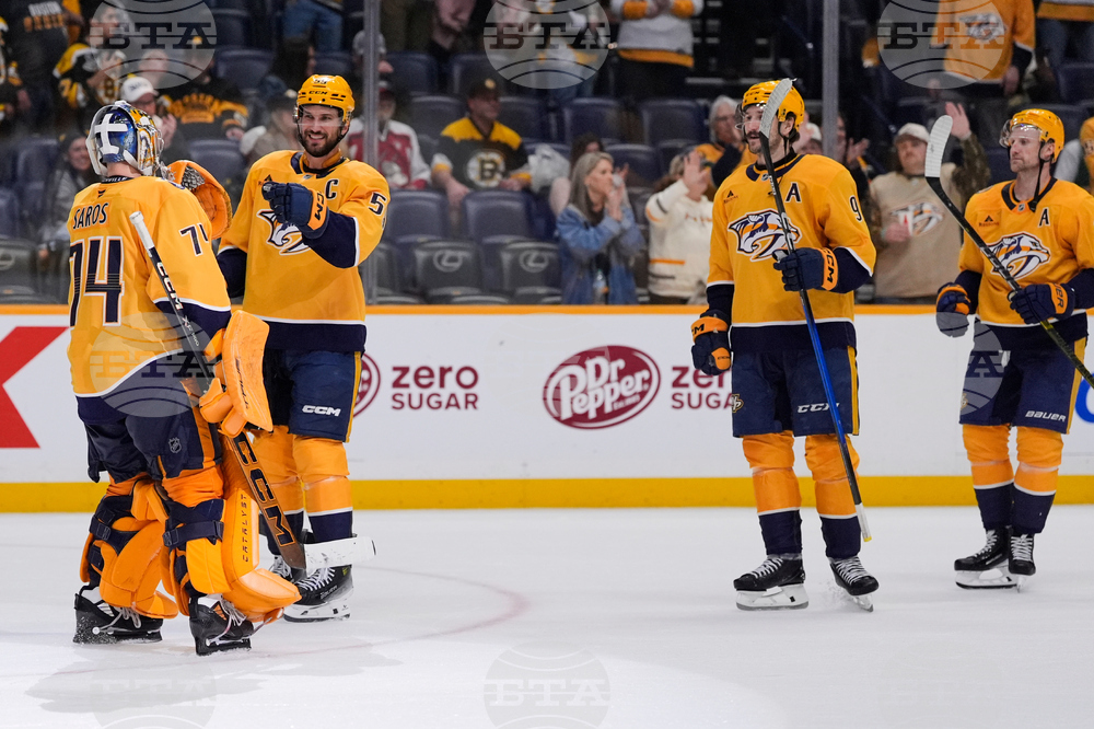 Bruins Predators Hockey