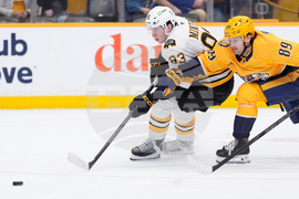 Bruins Predators Hockey