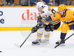 Bruins Predators Hockey