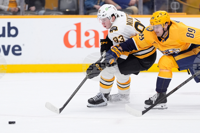 Националната хокейна лига планира провеждането на мачове от редовния сезон в Германия