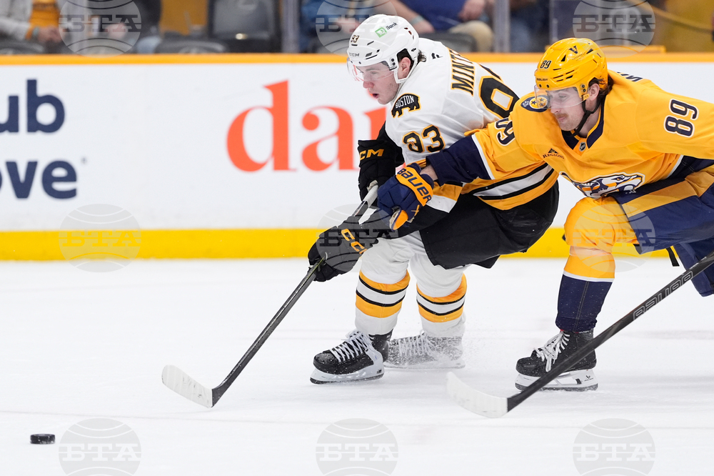 Bruins Predators Hockey