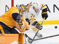 Bruins Predators Hockey