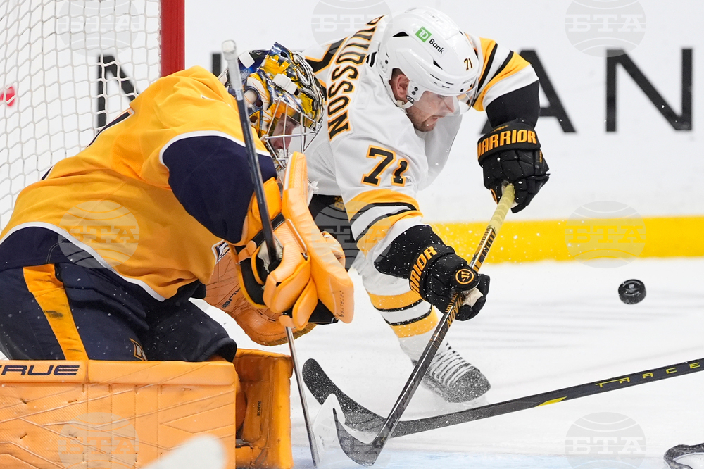 Bruins Predators Hockey